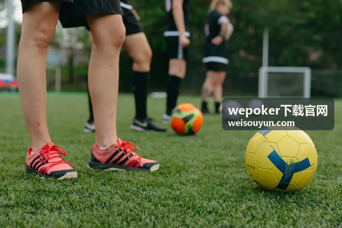 wepoker下载官网客户端操作界面示意图