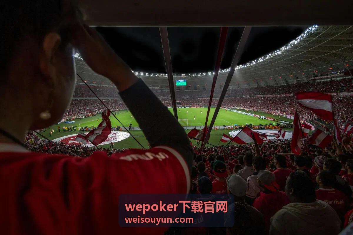wepoker下载官网安装包获取流程片段封面